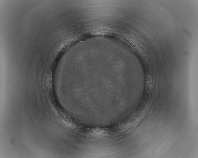 X0000110860547200907021418