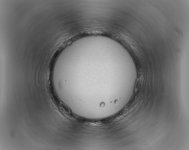 X0000110860548200907021418