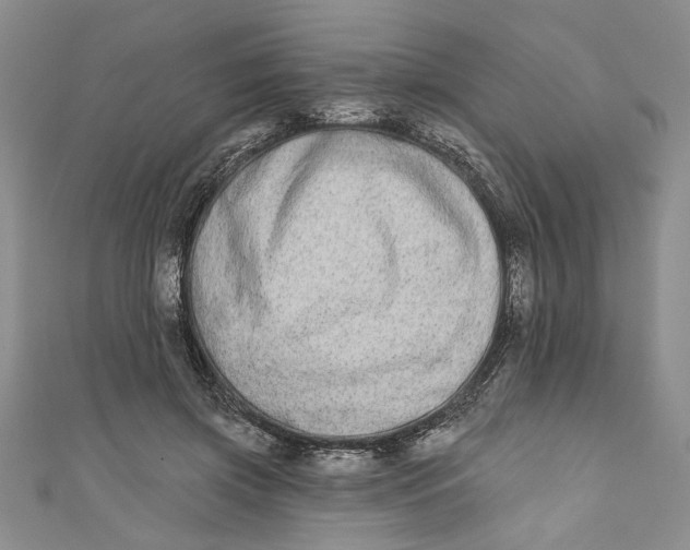 X0000110860549200907021418