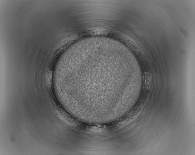 X0000110860550200907021418