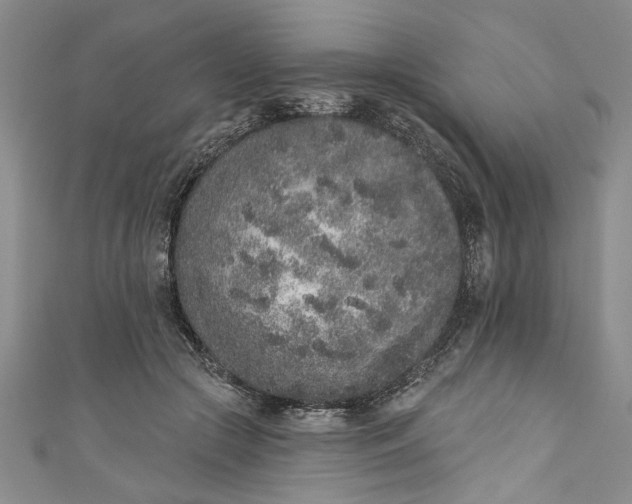 X0000110860553200907021418