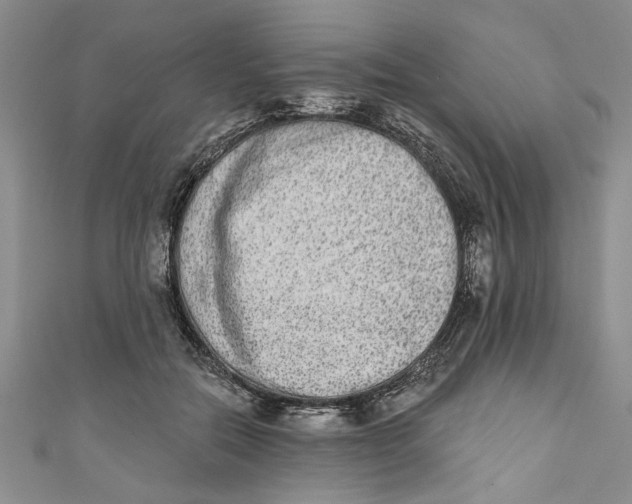 X0000110860554200907021418