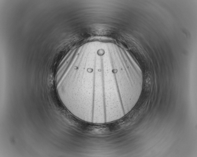 X0000110860555200907021418