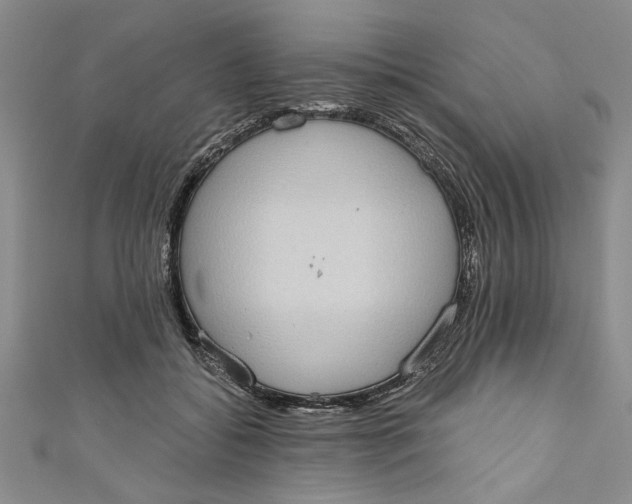 X0000110860556200907021418