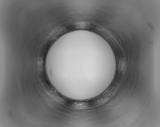 X0000110860557200907021418