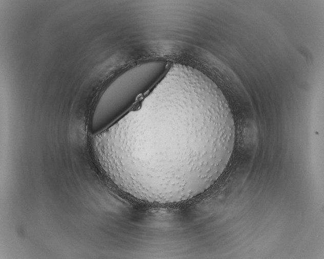 X0000110860558200907021418