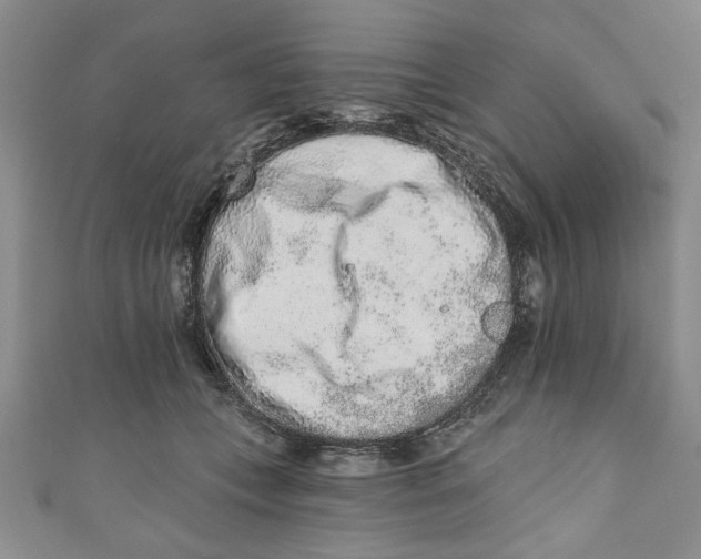 X0000110860559200907021418