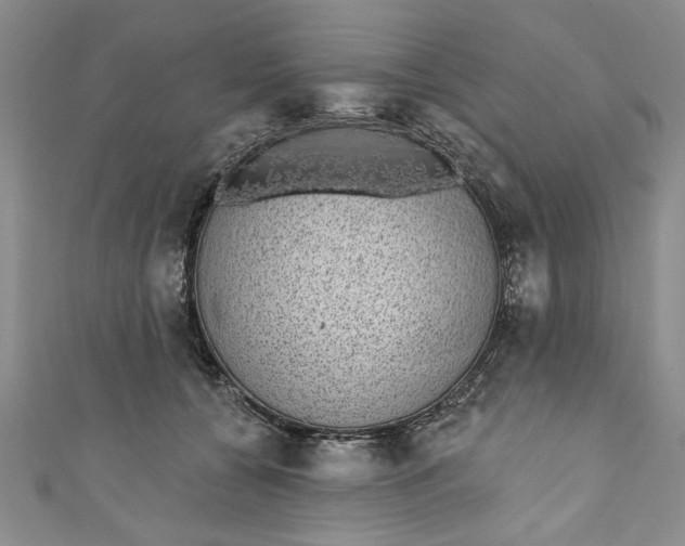 X0000110860560200907021418