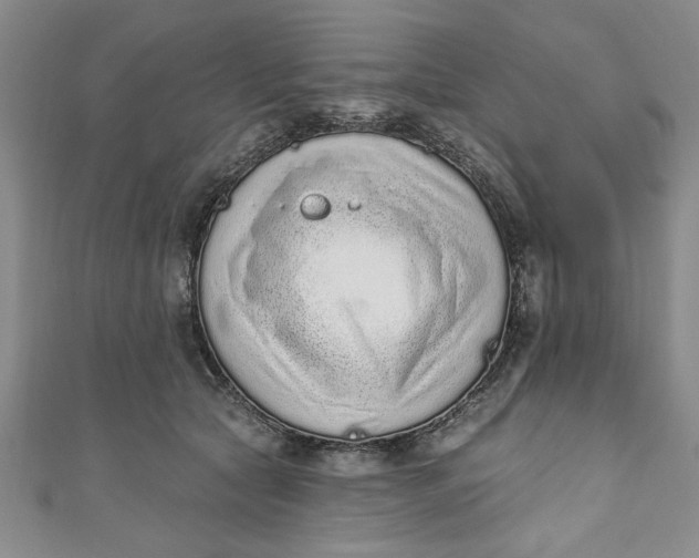 X0000110860561200907021418