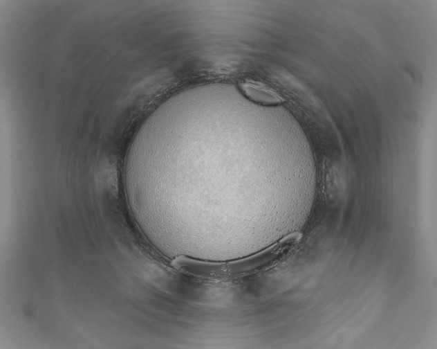 X0000110860562200907021418