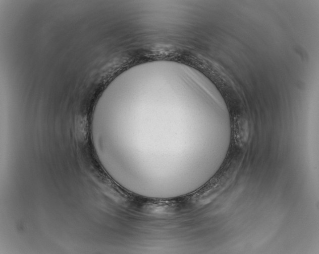 X0000110860563200907021418