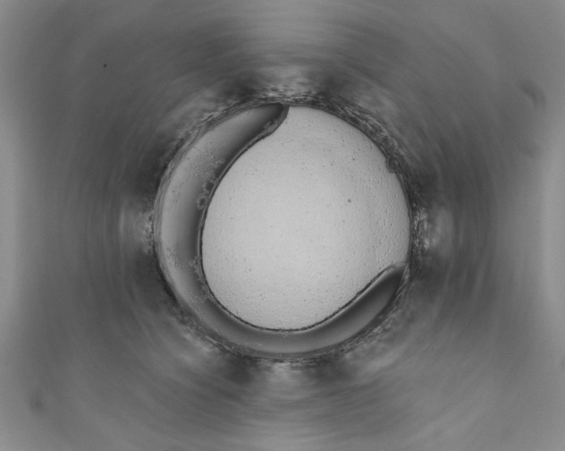 X0000110860564200907021418