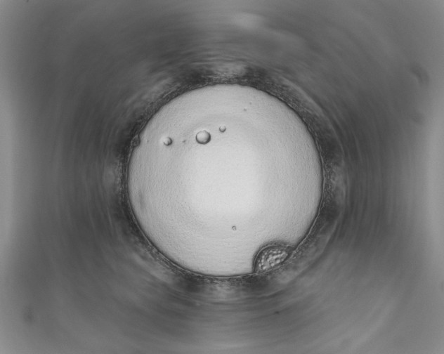 X0000110860565200907021418