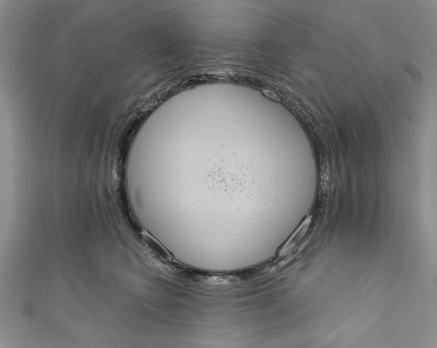 X0000110860566200907021418