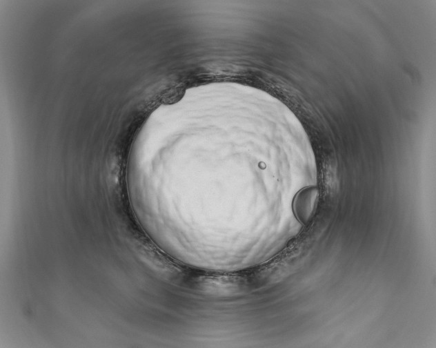 X0000110860567200907021418