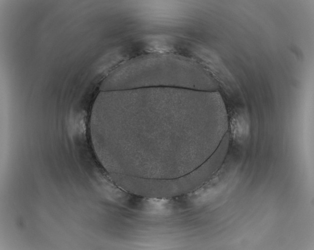 X0000110860570200907021418