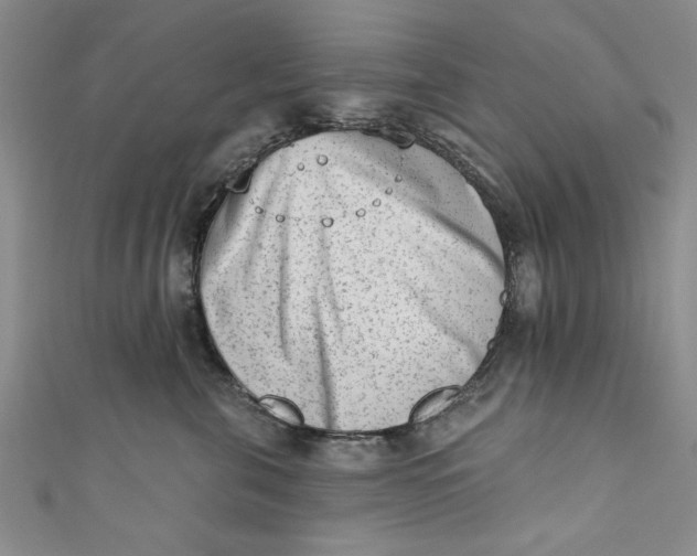 X0000110860571200907021418