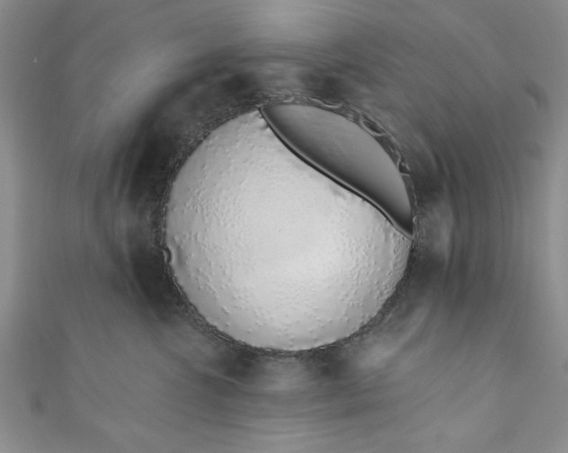 X0000110860572200907021418