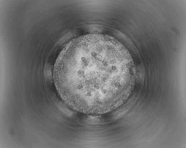 X0000110860573200907021418