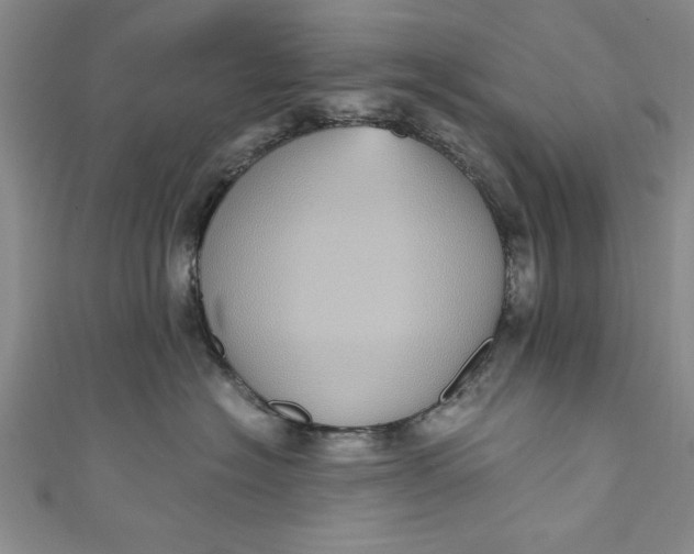 X0000110860574200907021418