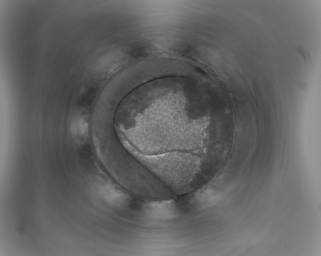 X0000110860576200907021418