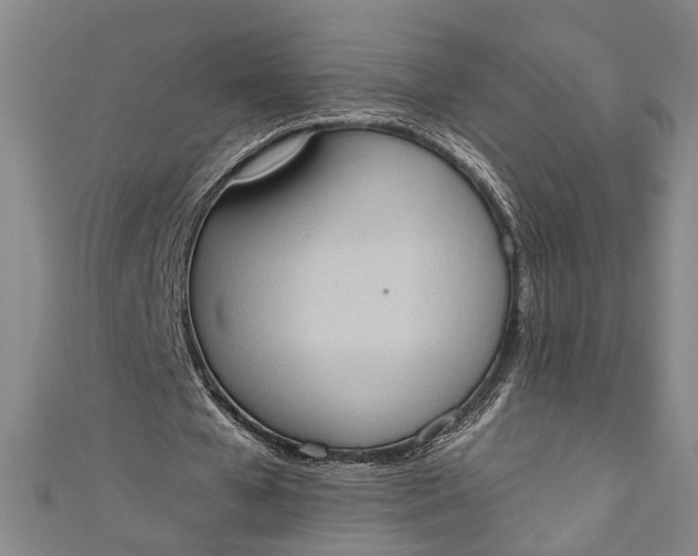 X0000110860577200907021417