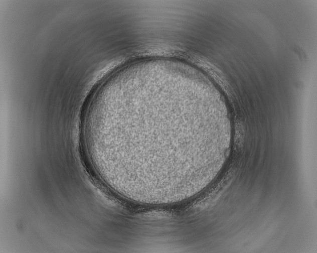 X0000110860578200907021417