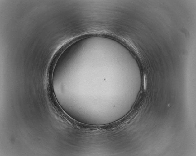 X0000110860579200907021417