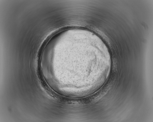 X0000110860580200907021417