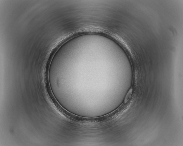 X0000110860581200907021417