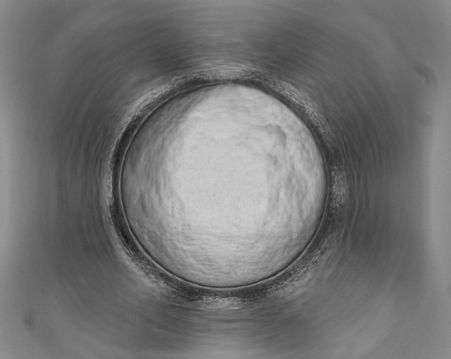 X0000110860582200907021417