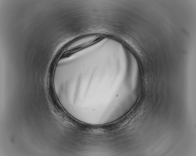 X0000110860583200907021417