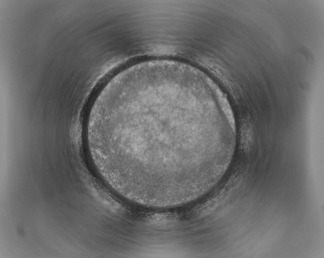 X0000110860584200907021417