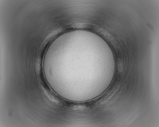 X0000110860586200907021417