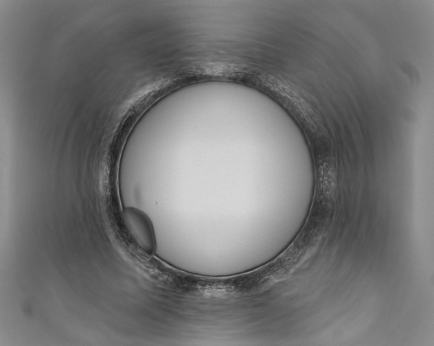 X0000110860587200907021417