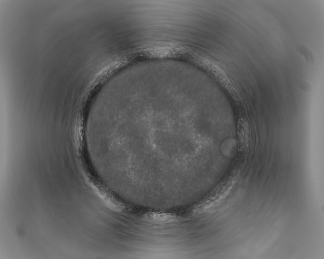 X0000110860590200907021417