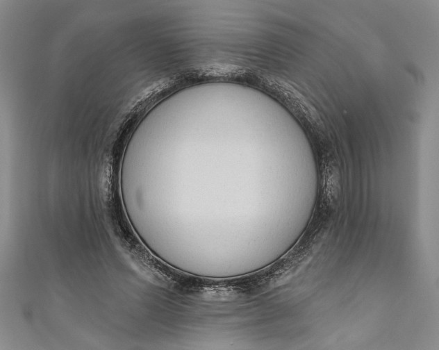 X0000110860591200907021417