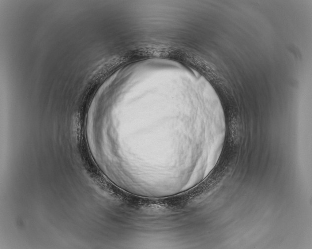 X0000110860594200907021417