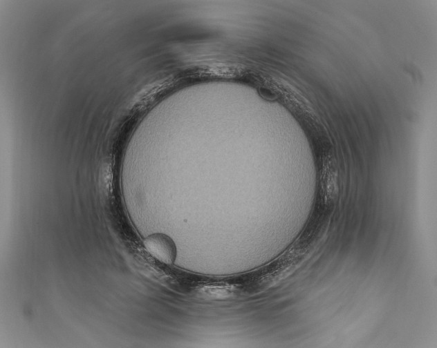 X0000110860595200907021417