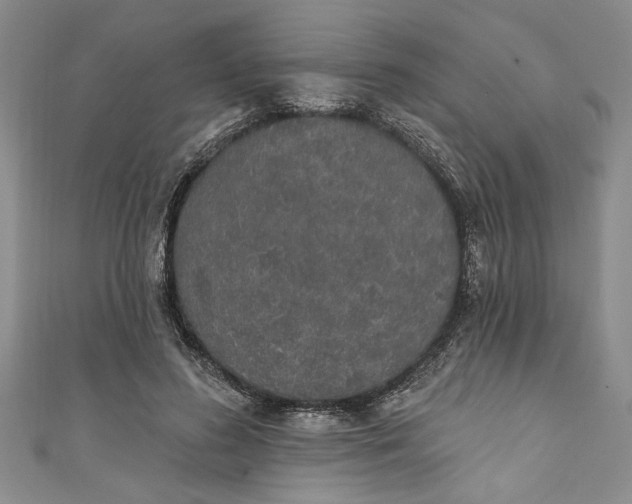 X0000110860596200907021417