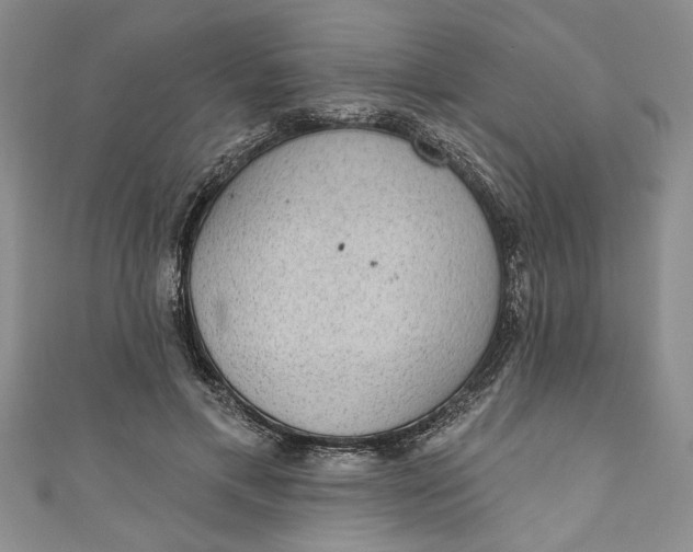 X0000110860597200907021417