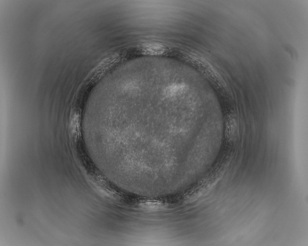 X0000110860598200907021417