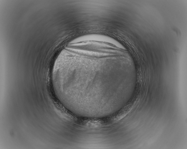 X0000110860599200907021417