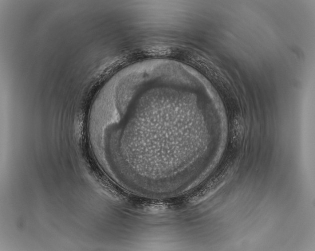 X0000110860600200907021417