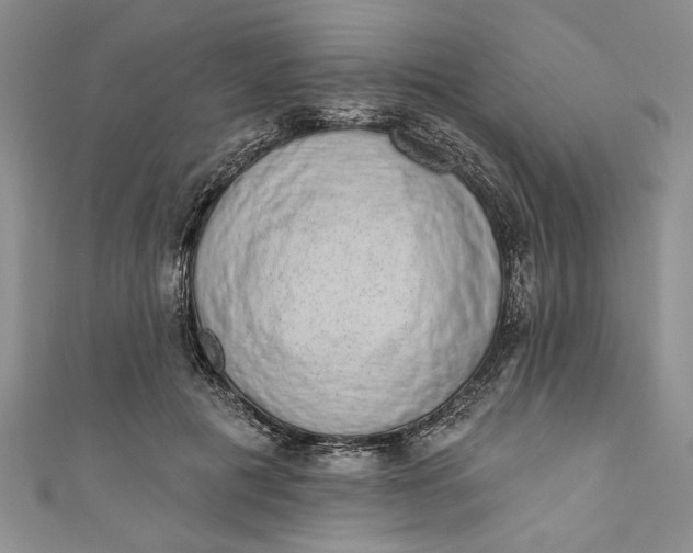 X0000110860601200907021417