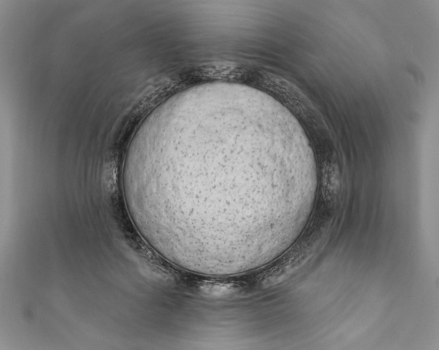 X0000110860602200907021417