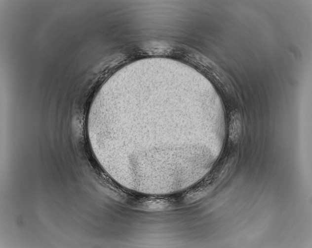 X0000110860604200907021417