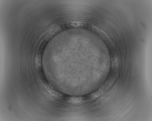 X0000110860606200907021417