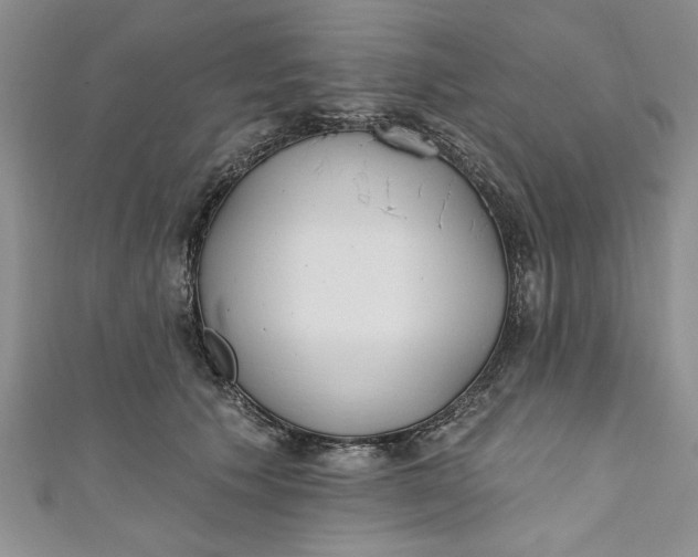 X0000110860609200907021417