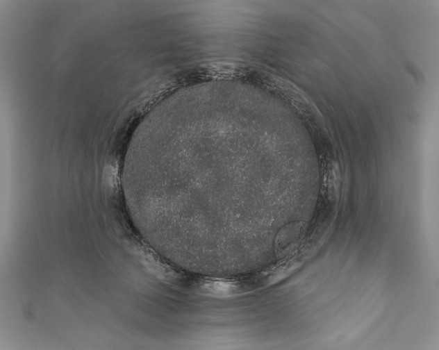 X0000110860610200907021417